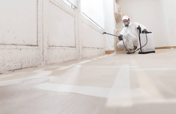 24/7 Emergency Attic Mold Remediation experts in White Hall, IL